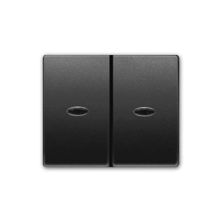 Tecla doble con visor BJC Mega 22709-acl