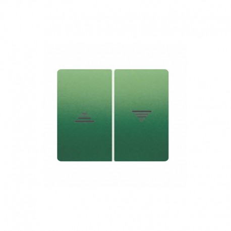 Tecla pulsador o interruptor de persianas VERDE MINERVA BJC IRIS 18765-VM