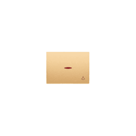 interructor