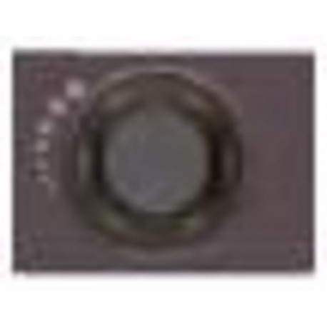 PLACA REGULADOR PLATA LUNA 21748-PL
