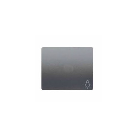 TECLA PULSADOR LUZ CON DIFUSOR 18717-AVL
