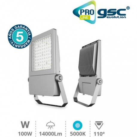 Proyector 100W 5000K IP66 - Pro Line