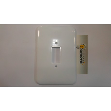 Placa Rectangular Blanca 171