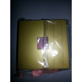TAPA TOMA TELEFONO SM 200  ORO VIEJO