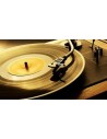 DISCOS DE VINILO COLECCION ELECTROROMERA