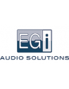 EGI